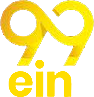 vn99ein.com Logo